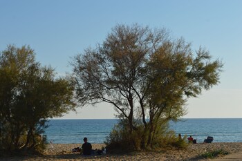 Hotel Ristorante Pizzeria Le Voilier Beach/Ocean View