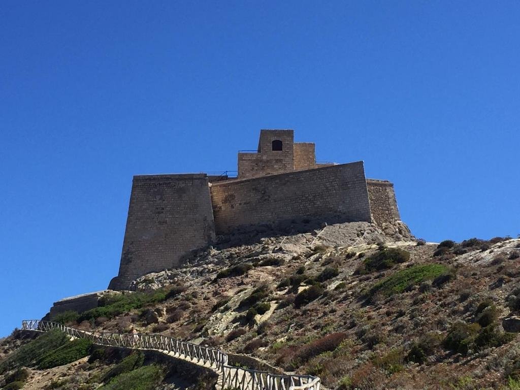 Seriola House (سریولا هاوس) 