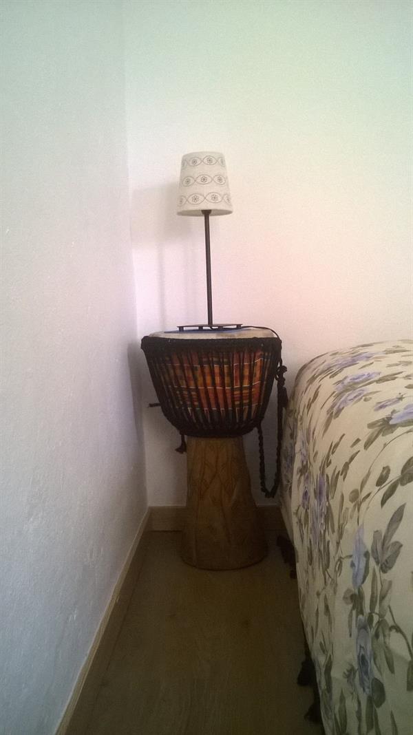 Cats House 