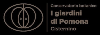 La Linea Dell'orizzonte Point of Interest