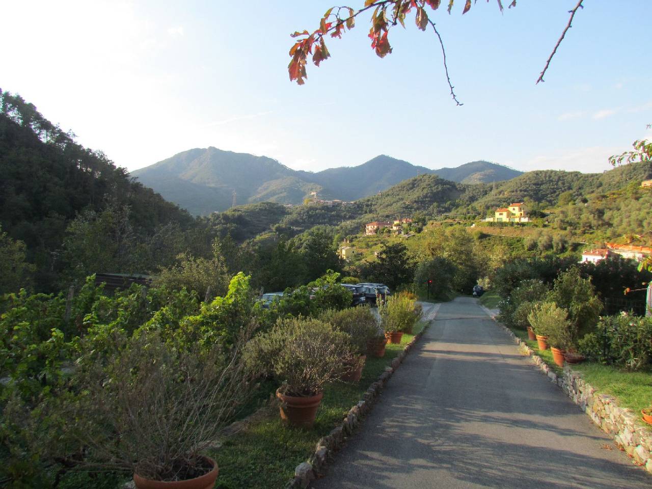 Agriturismo Villanova 