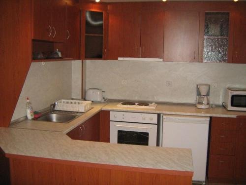 Vili Iskar 1 (ویلی ایسكار ۱) 