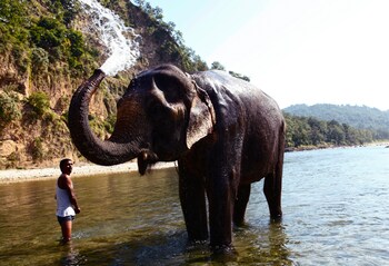 Corbett Riverside Resort Beach
