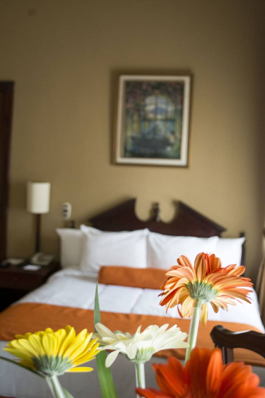 Hotel Royal Palace 
