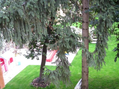 Residenza Al Parco 