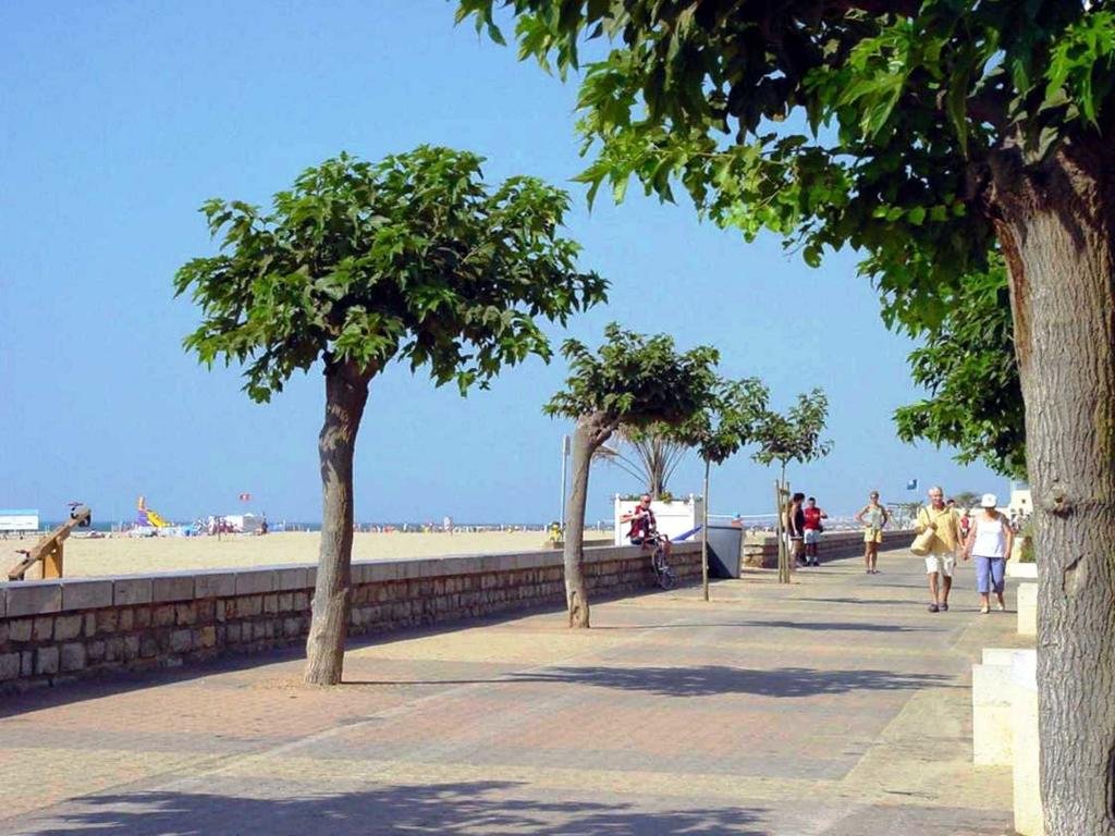 Résidence Alizéa Beach 