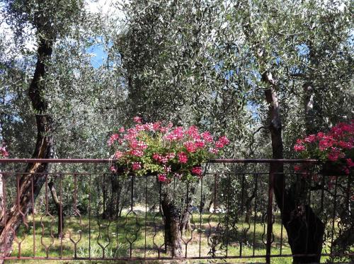 Hotel Villa Margherita 