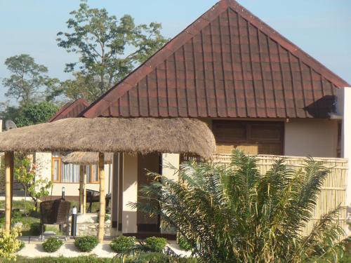 Musa Jungle Retreat 