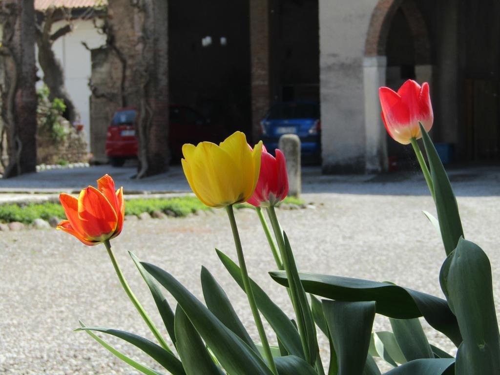Residenza Torre Antica 