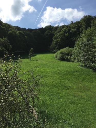 Ferienhaus Taunus Ii 