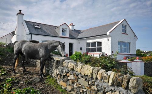 The Olde Castle B&b 