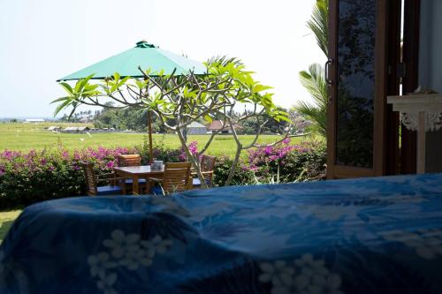 Sawah Bali 