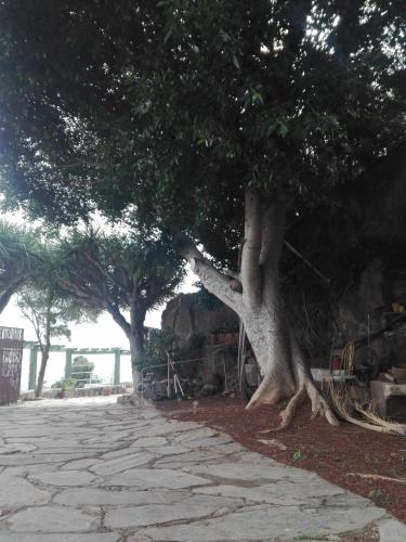 Finca Bella Vista 
