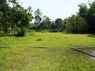 Deep Jungle Home 