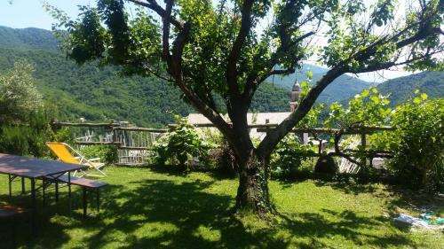 La Via Del Mare Golfo Paradiso Ge 