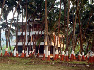 Surali Wadi Resort 