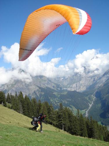 Ferienwohnung Chalet Bergblume 