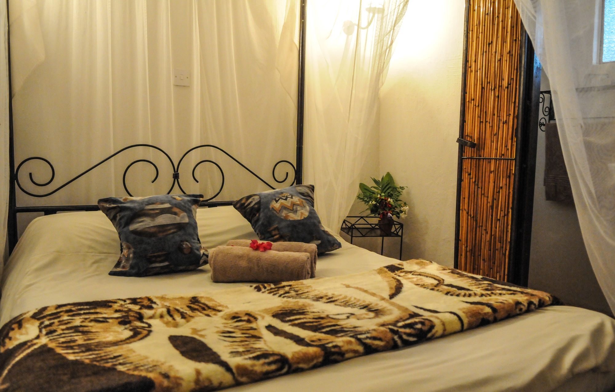 Zig Zag Town Lodge Hostel 