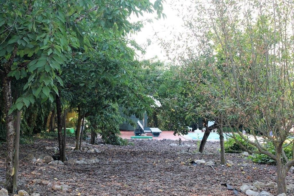 Ginjola Green Farm 