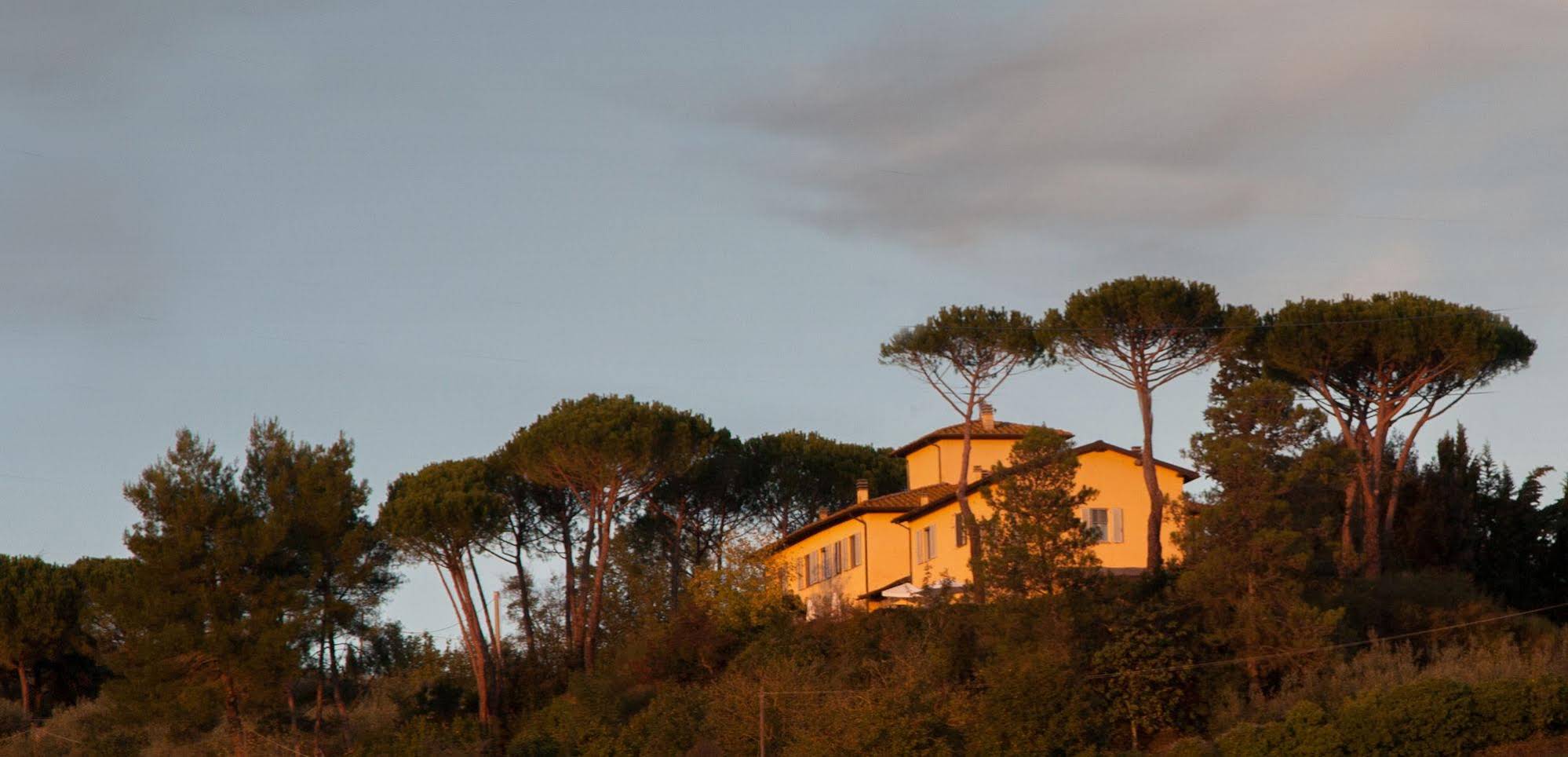 La Certaldina 