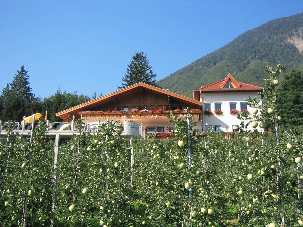 Pension Weihergut 