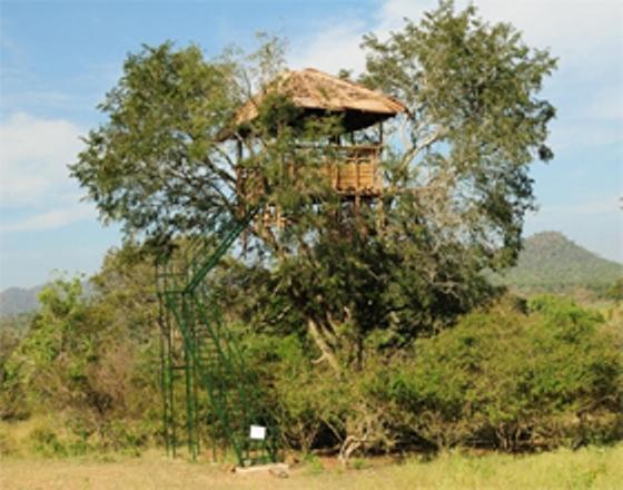 Bamboo Banks Farm & Guest House 