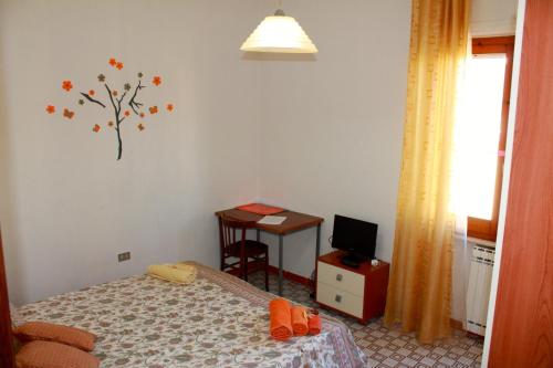 B&b Williwaw 