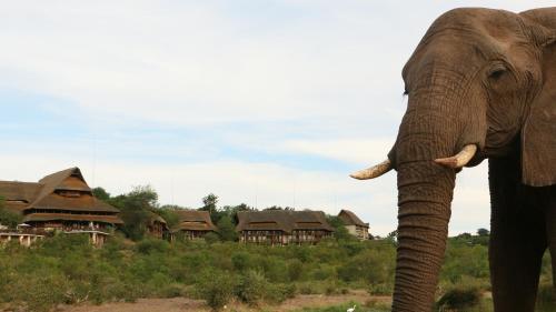 Victoria Falls Safari Suites 