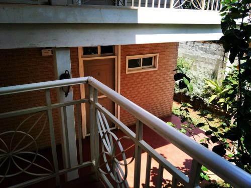 Tall Tree House 