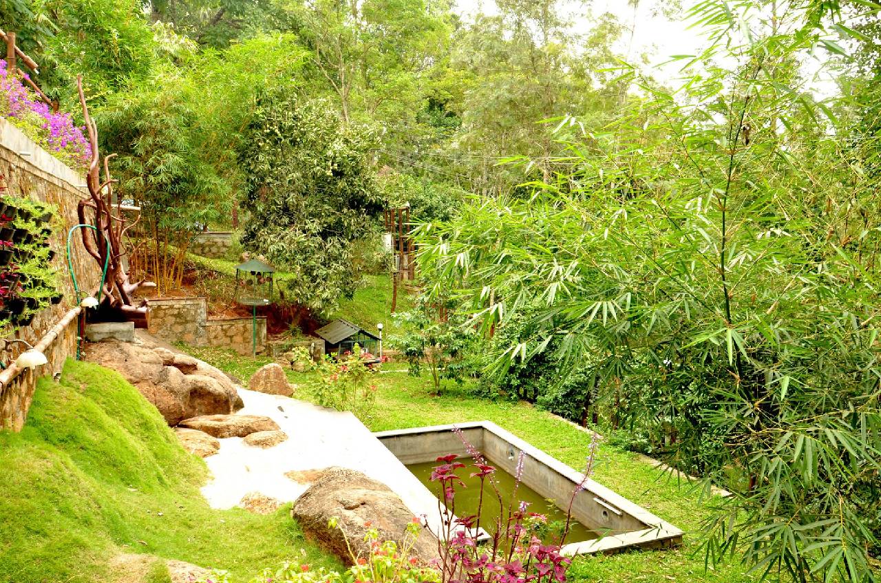 Bamboo Dale 