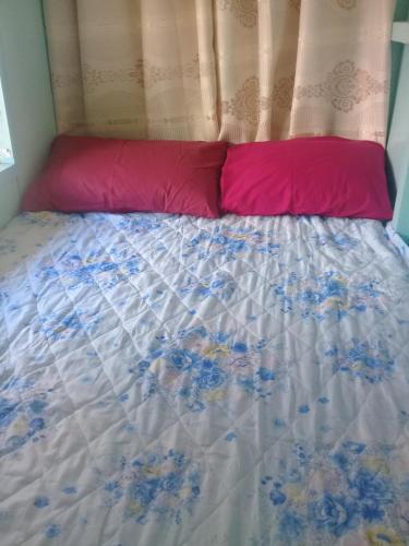Jed Backpackers Inn 