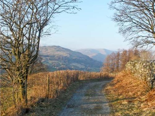 Wansfell View 