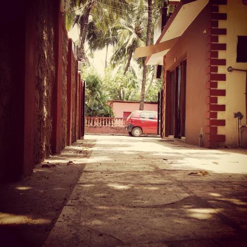 Orchid De Goa 
