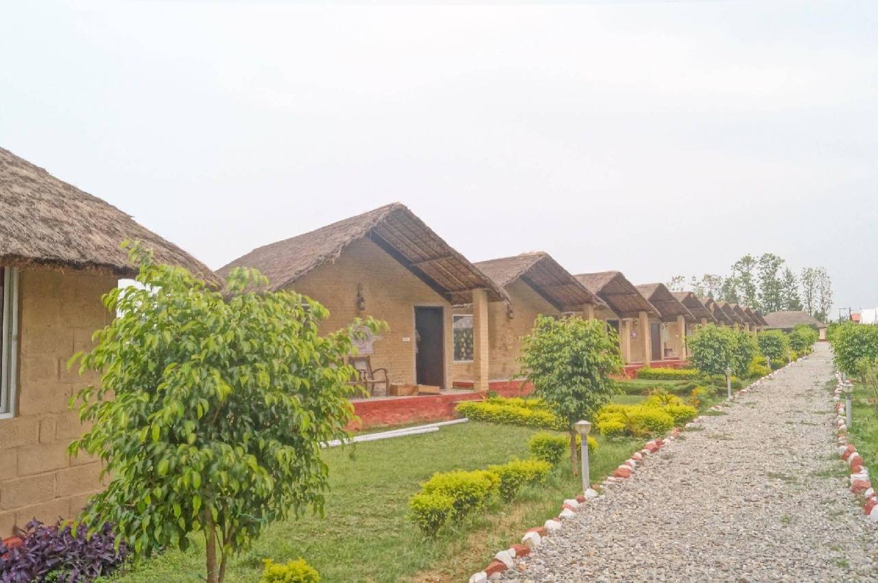 Jungle Eco Resort 