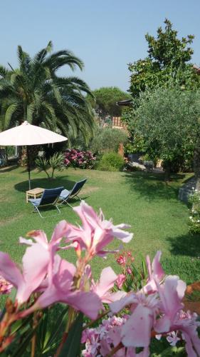 Casa Vacanze Colline Di Luni 