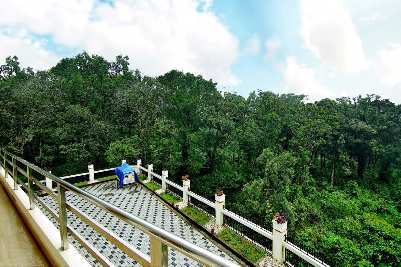 Excellency Forest Trail 