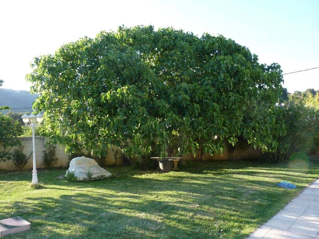 Roquevaire (روکوویر) 