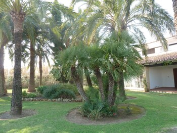 Apartamentos Ranas Property Grounds