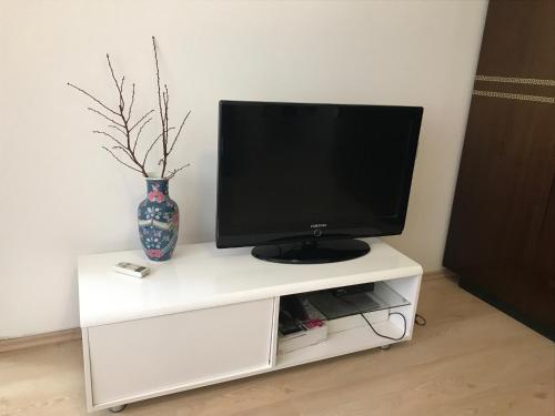 Apartment Alma 
