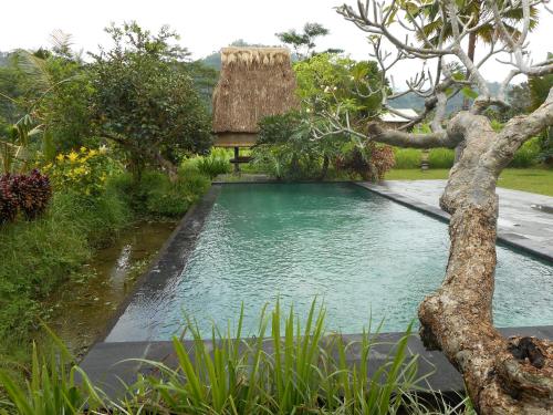 Aura Surga Villa 