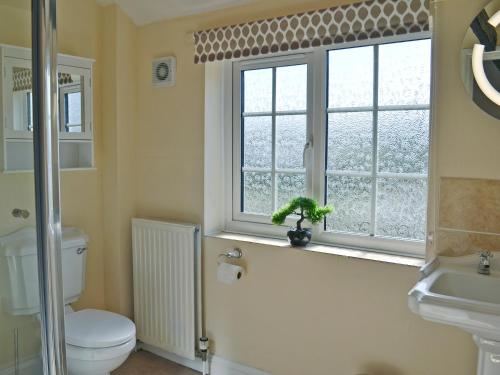 Beech View Cottage 