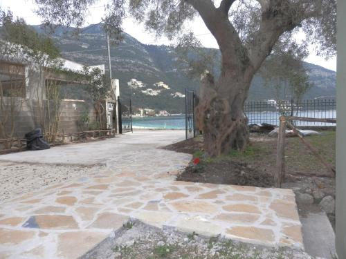 Sea Pebble Studios (سی پبل استودیوس) 