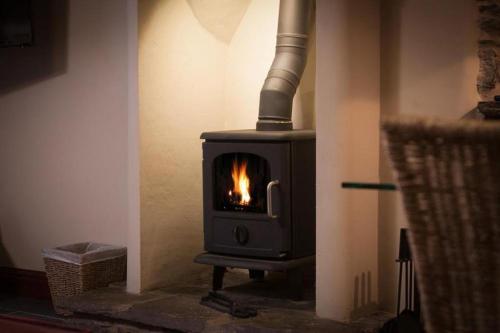 The Curious Orange ( كوریوس اورانج) 