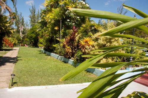 Palm Garden Hotel 