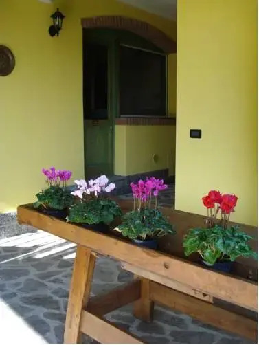 Casa Vacanze Lillo 