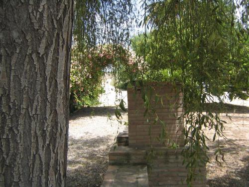 Cortijo El Pinar 