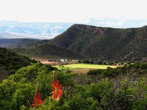 Kleingeluk Guest Farm (كلینجلوك گست فارم) 