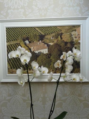 Domaine De La Grande Motte 