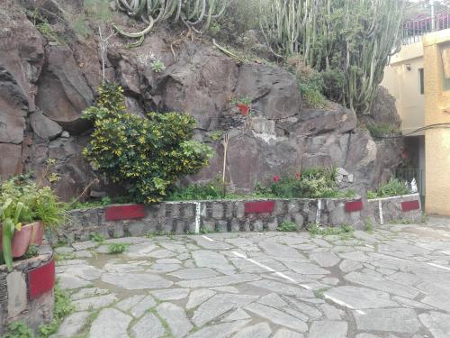 Finca Bella Vista 