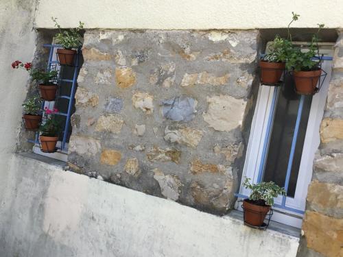Les Palettes 